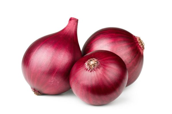 Solaris onion